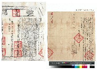 藏品(謝傳祖向楊嚴觀立給杜絕賣盡根契（附契尾）)的圖片